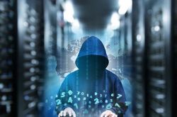【8分钟科普下】西双版纳的工厂_哔哩哔哩-2